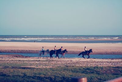 People riding horses at beach against clear sky