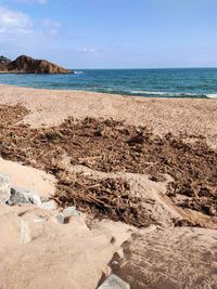 Scenic view of beach against sky