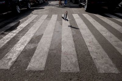 View of zebra crossing on road