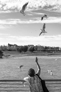 Seagulls flying over sea