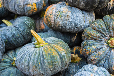 High angle view of pumpkins for sale at market stall