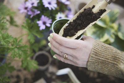 Woman planting flowers