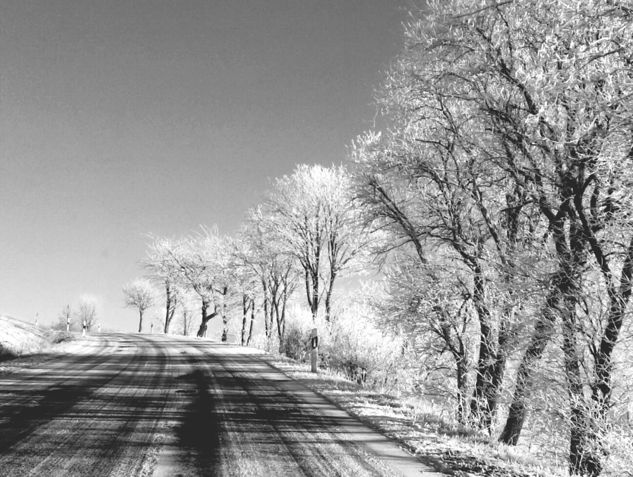 the way forward, tree, diminishing perspective, road, vanishing point, transportation, bare tree, tranquility, empty road, tranquil scene, snow, sky, nature, winter, country road, empty, long, scenics, landscape, beauty in nature