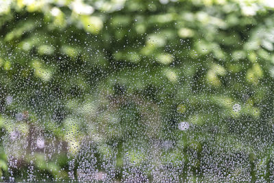 Full frame shot of wet glass during rainy season