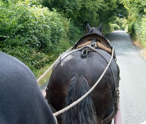 View of horse cart