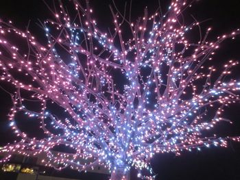 Low angle view of firework display