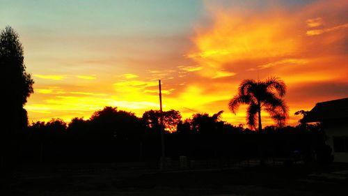 Silhouette trees against orange sky