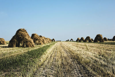 Hay bales on field against clear sky