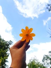 Close-up of hand holding flowering plant against sky