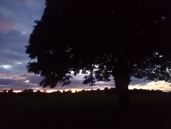 Silhouette trees against sky at night