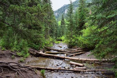 Waterfall mountain views hiking trails doughnut falls big cottonwood canyon wasatch front utah