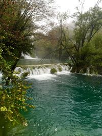 Scenic view of waterfall in forest