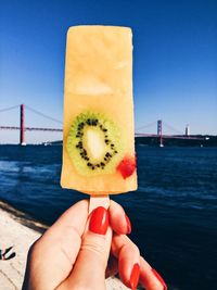 Close-up of hand holding ice cream against sea