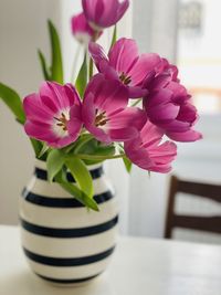 Close-up of pink flowers in vase