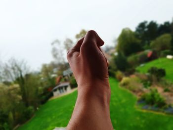 Close-up of hand holding plant against sky