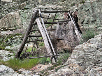 Old wooden bridge in forest