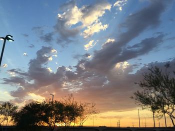 Low angle view of silhouette trees against sky