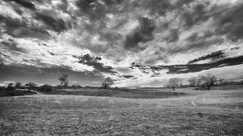 Scenic view of field against cloudy sky