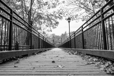 Surface level of footbridge along trees