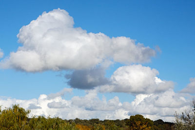 Low angle view of clouds in blue sky