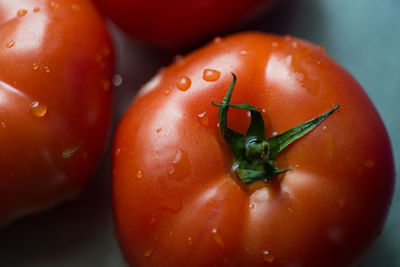 Close-up of wet tomatoes