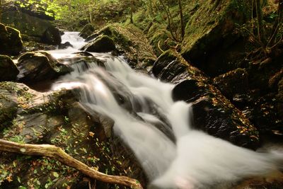 Low angle view of waterfall in forest