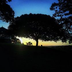 Silhouette trees on landscape against sky