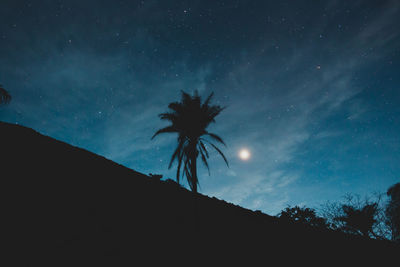 Low angle view of silhouette trees against sky at night