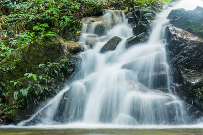 View of waterfall in forest