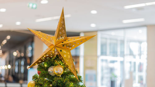 Close-up of christmas tree