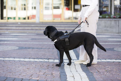 Woman walking with assistance dog