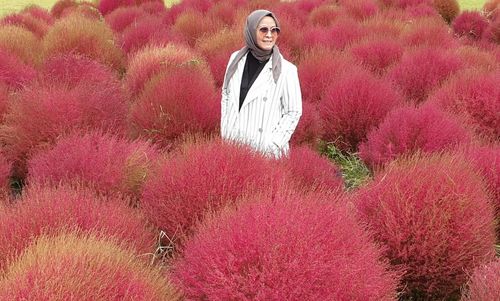 Portrait of young woman standing by pink flowering plants