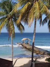 Palm tree by sea against sky