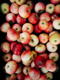 Full frame shot of apples for sale at market stall