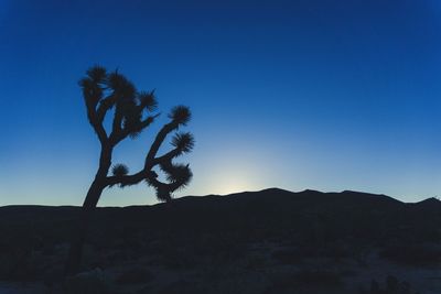 Silhouette tree against sky during sunset