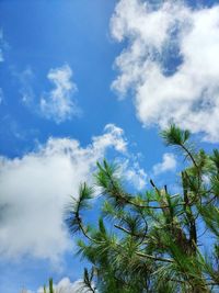 Low angle view of palm trees against blue sky