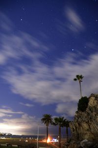 Palm trees on beach against sky at night