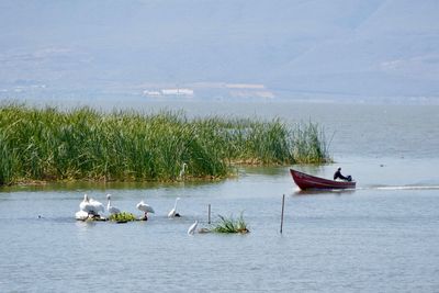 Boats in sea against sky