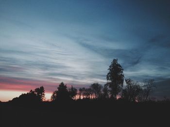 Silhouette of trees at sunset