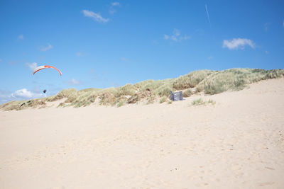 Rear view of people on beach against sky