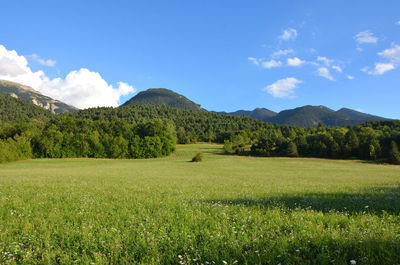 Scenic view of field against sky