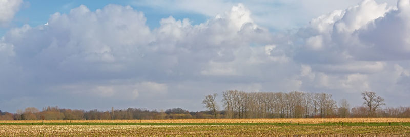 Panoramic view of agricultural field against sky