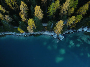 Scenic view of lake in forest during autumn