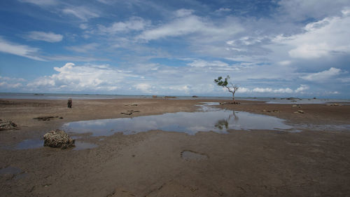 Scenic view of beach against sky