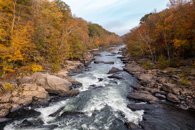 Stream flowing through rocks in forest during autumn