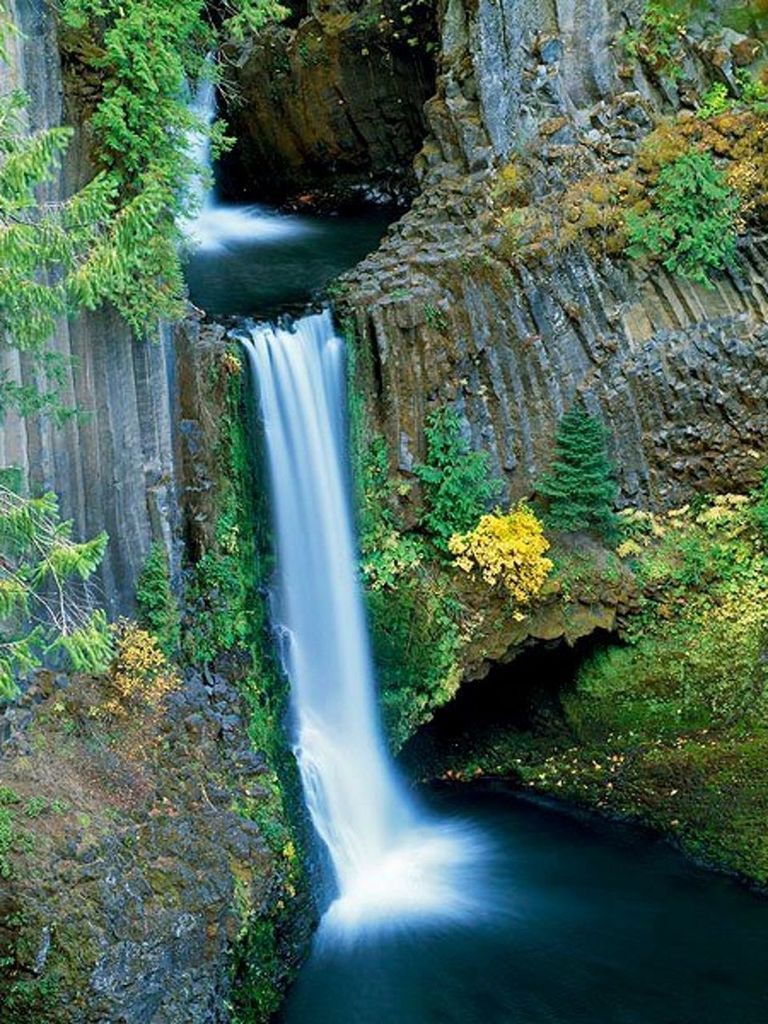 waterfall, motion, flowing water, long exposure, flowing, forest, water, tree, beauty in nature, blurred motion, scenics, nature, rock - object, environment, plant, growth, power in nature, idyllic, moss, outdoors