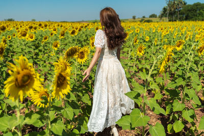 Rear view of woman standing amidst yellow flowering plants on field