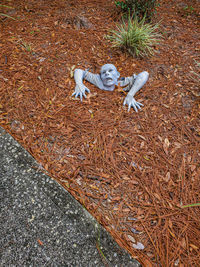 High angle view of man lying on field