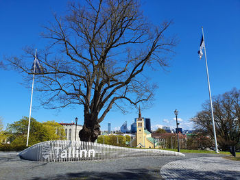 tree