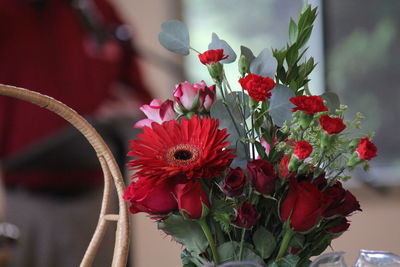Close-up of red flowering plant in vase